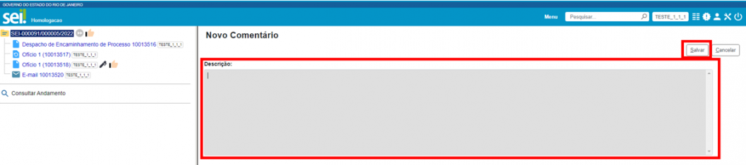 Escrever comentário processo.png