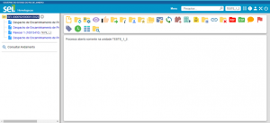 Print tela processos.png