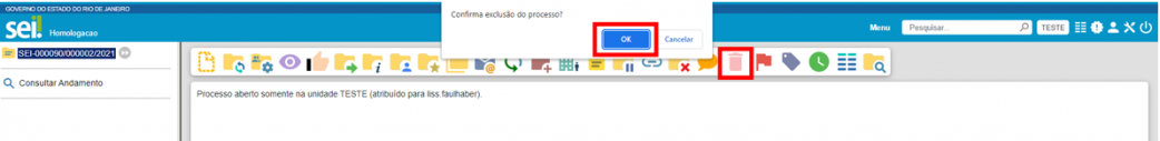 ligação=https://www.wiki.planejamento.rj.gov.br/Arquivo:Confirma%20exclus%C3%A3o%20do%20processo .png